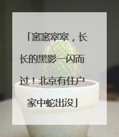 窸窸窣窣，长长的黑影一闪而过！北京有住户家中蛇出没