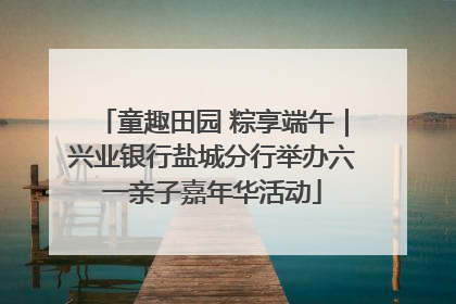 童趣田园 粽享端午｜兴业银行盐城分行举办六一亲子嘉年华活动