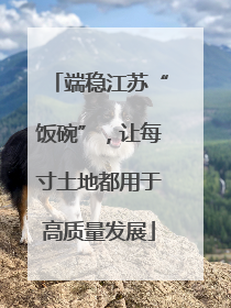 端稳江苏“饭碗”，让每寸土地都用于高质量发展
