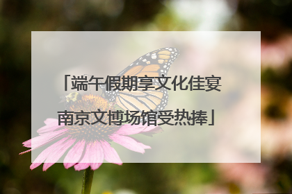 端午假期享文化佳宴 南京文博场馆受热捧