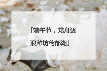 端午节，龙舟逐浪潍坊鸢都湖