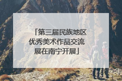 第三届民族地区优秀美术作品交流展在南宁开展