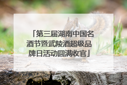 第三届湖南中国名酒节暨武陵酒超级品牌日活动圆满收官