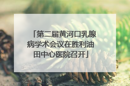 第二届黄河口乳腺病学术会议在胜利油田中心医院召开