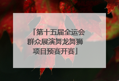 第十五届全运会群众展演舞龙舞狮项目预赛开赛