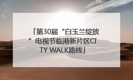 第30届“白玉兰绽放”电视节临港新片区CITY WALK路线