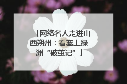 网络名人走进山西朔州：看塞上绿洲“破茧记”
