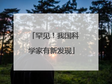 罕见！我国科学家有新发现