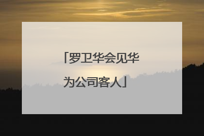 罗卫华会见华为公司客人