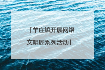 羊庄镇开展网络文明周系列活动