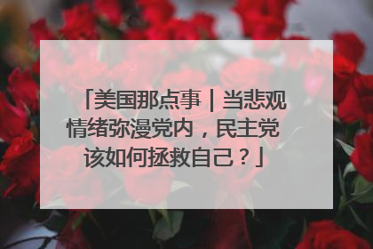 美国那点事｜当悲观情绪弥漫党内，民主党该如何拯救自己？
