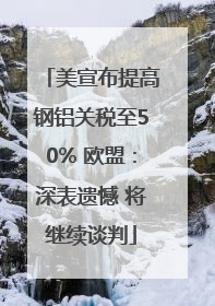 美宣布提高钢铝关税至50% 欧盟：深表遗憾 将继续谈判