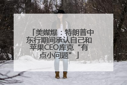 美媒爆：特朗普中东行期间承认自己和苹果CEO库克“有点小问题”