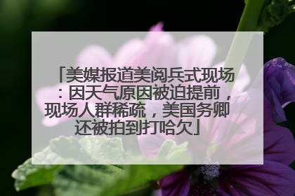 美媒报道美阅兵式现场：因天气原因被迫提前，现场人群稀疏，美国务卿还被拍到打哈欠