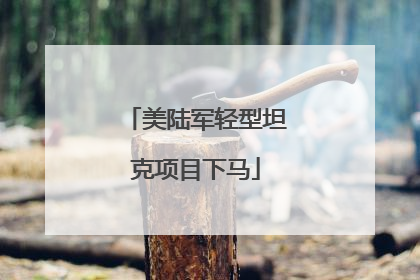 美陆军轻型坦克项目下马