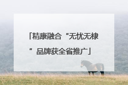 精康融合“无忧无棣”品牌获全省推广