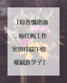 粽香飘珞珈，杨红梅工作室别样端午情暖藏族学子