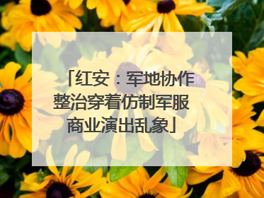 红安：军地协作整治穿着仿制军服商业演出乱象