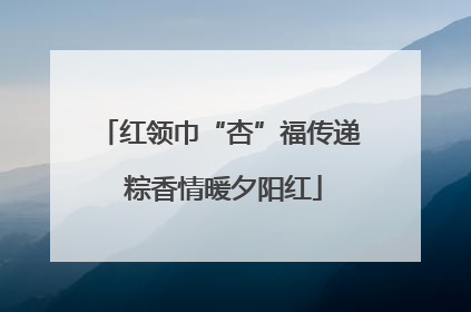 红领巾“杏”福传递 粽香情暖夕阳红