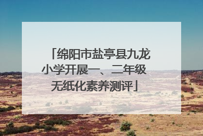 绵阳市盐亭县九龙小学开展一、二年级无纸化素养测评