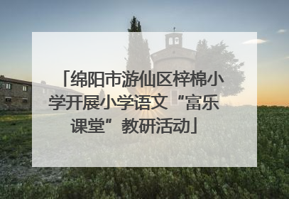 绵阳市游仙区梓棉小学开展小学语文“富乐课堂”教研活动