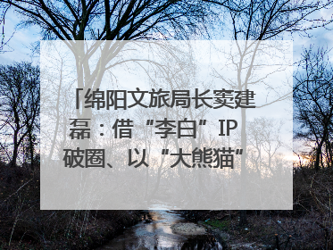 绵阳文旅局长窦建磊：借“李白”IP破圈、以“大熊猫”引流 依托科技优势绽放城市文旅魅力｜文旅局长说