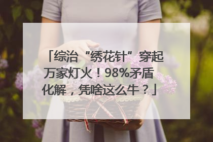 综治“绣花针”穿起万家灯火！98%矛盾化解，凭啥这么牛？