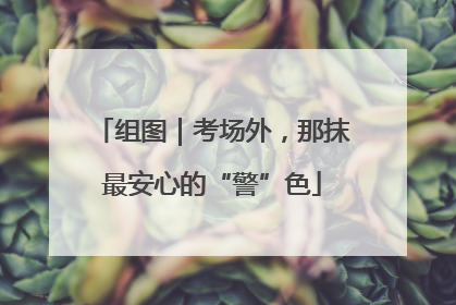 组图｜考场外，那抹最安心的“警”色
