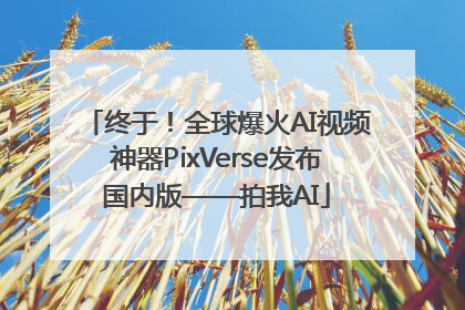 终于！全球爆火AI视频神器PixVerse发布国内版——拍我AI