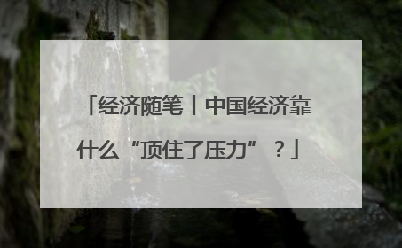 经济随笔丨中国经济靠什么“顶住了压力”？