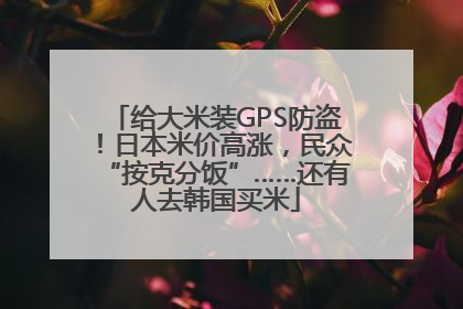 给大米装GPS防盗！日本米价高涨，民众“按克分饭”……还有人去韩国买米