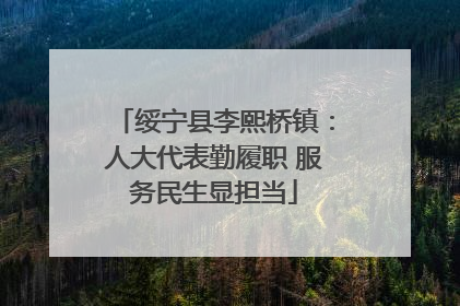 绥宁县李熙桥镇：人大代表勤履职 服务民生显担当