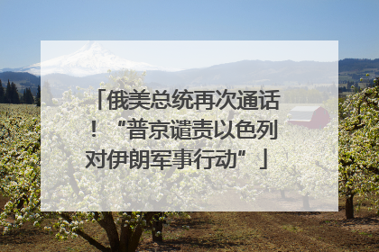 俄美总统再次通话！“普京谴责以色列对伊朗军事行动”