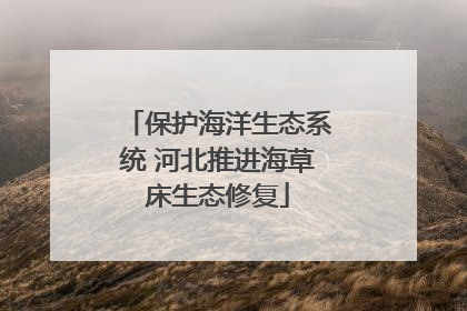 保护海洋生态系统 河北推进海草床生态修复
