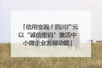 信用变现！四川广元以“诚信密码”激活中小微企业发展动能