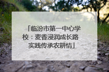 临汾市第一中心学校：麦香浸润成长路 实践传承农耕情
