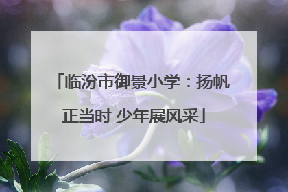 临汾市御景小学：扬帆正当时 少年展风采