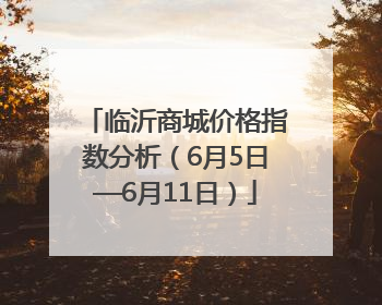 临沂商城价格指数分析（6月5日—6月11日）
