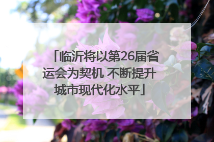 临沂将以第26届省运会为契机 不断提升城市现代化水平
