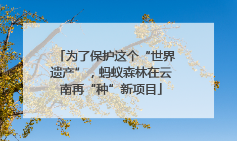 为了保护这个“世界遗产”，蚂蚁森林在云南再“种”新项目