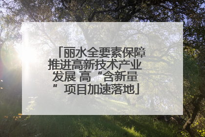 丽水全要素保障推进高新技术产业发展 高“含新量”项目加速落地