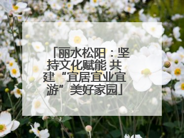 丽水松阳：坚持文化赋能 共建“宜居宜业宜游”美好家园