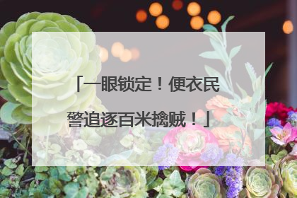 一眼锁定！便衣民警追逐百米擒贼！