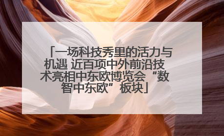 一场科技秀里的活力与机遇 近百项中外前沿技术亮相中东欧博览会“数智中东欧”板块