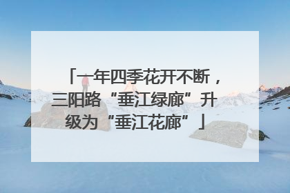 一年四季花开不断，三阳路“垂江绿廊”升级为“垂江花廊”