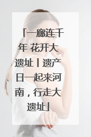 一廊连千年 花开大遗址丨遗产日一起来河南，行走大遗址