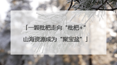 一颗枇杷走向“枇杷+” 山海资源成为“聚宝盆”
