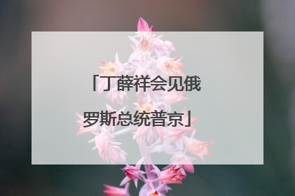丁薛祥会见俄罗斯总统普京