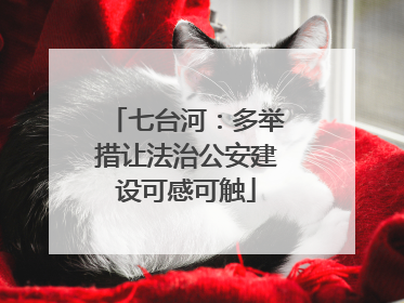 七台河：多举措让法治公安建设可感可触