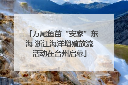 万尾鱼苗“安家”东海 浙江海洋增殖放流活动在台州启幕